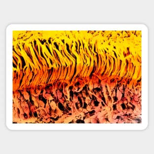 Coloured SEM of a section through the human retina (P424/0098) Sticker